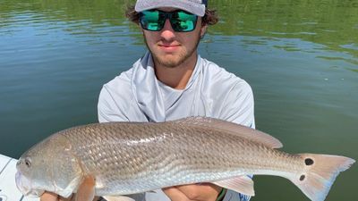 Fort Myers Fishing Charter | 8HRS Flats Fishing